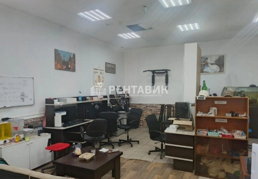 Помещение свободного назначения Седова, 154 площадью 185 квадратных метров