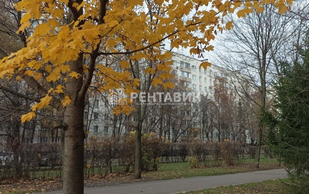 Здание Новочерёмушкинская, 24 по адресу г Москва, ул Новочерёмушкинская, д 24
