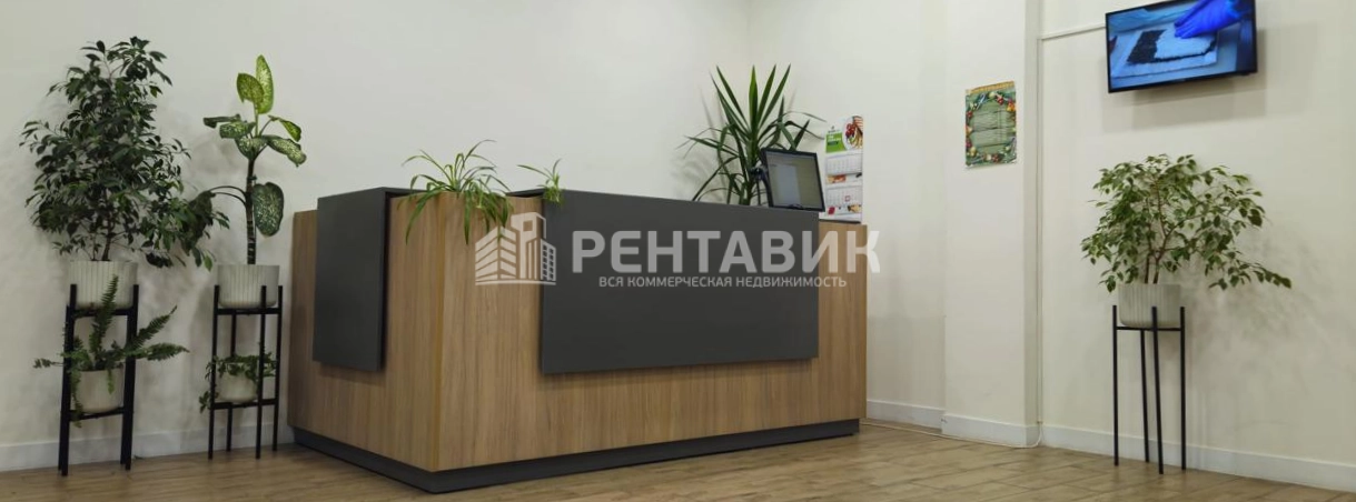 Офис Седова, 6а площадью 500 квадратных метров